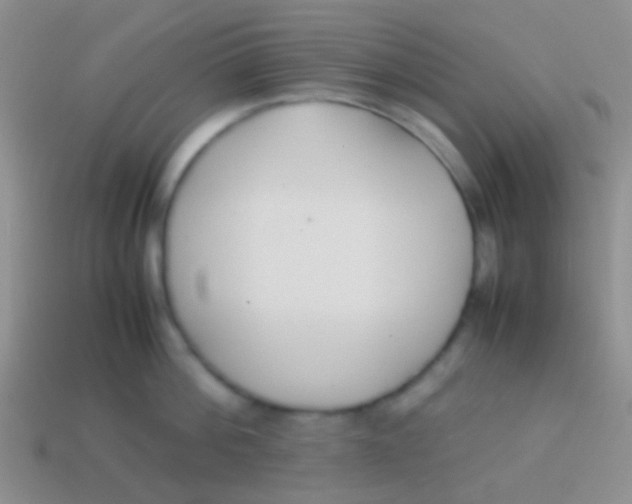 X0000113620812200910161951