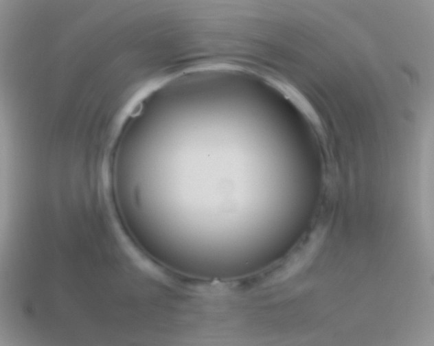 X0000113620813200910161951