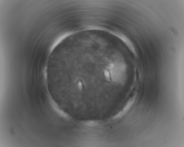 X0000113620814200910161951
