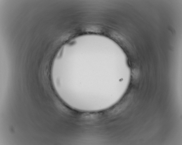 X0000113620817200910161950