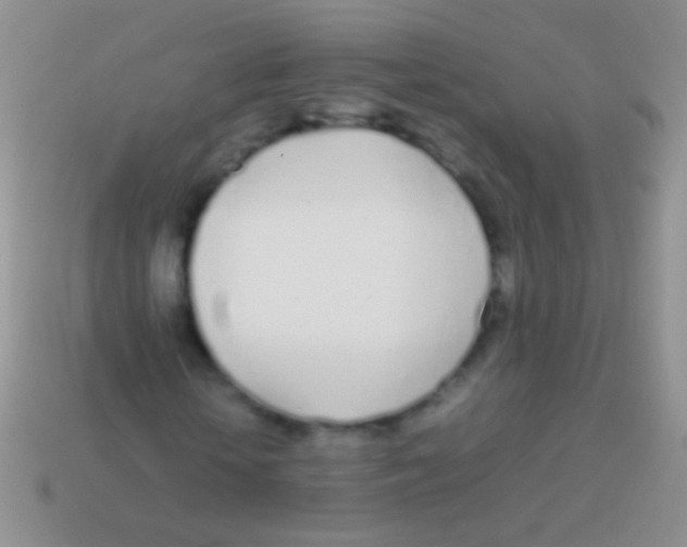 X0000113620818200910161950