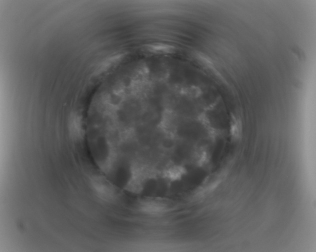 X0000113620819200910161950