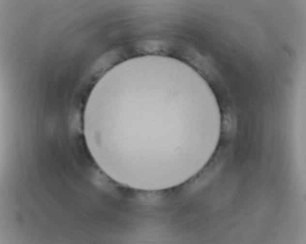 X0000113620820200910161950