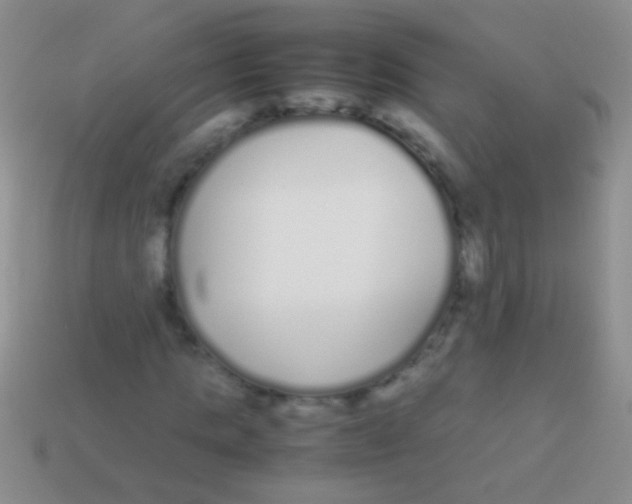 X0000113620821200910161950
