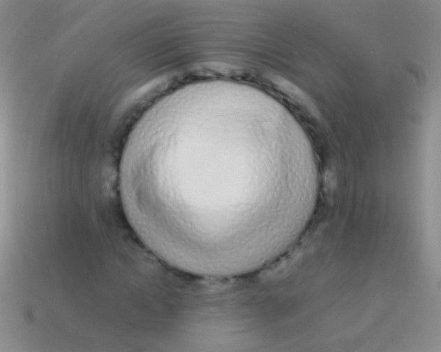 X0000113620822200910161950