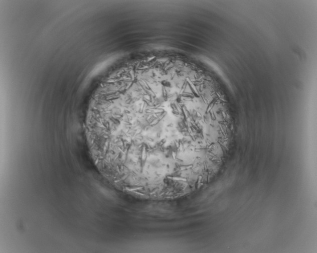 X0000113620823200910161950