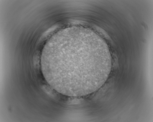 X0000113620824200910161950