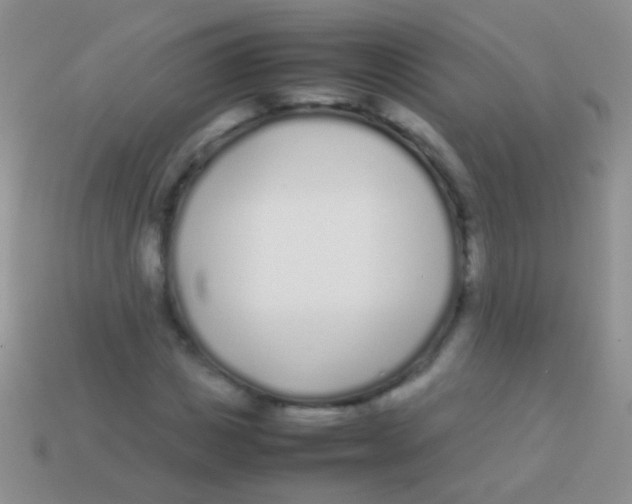 X0000113620825200910161950