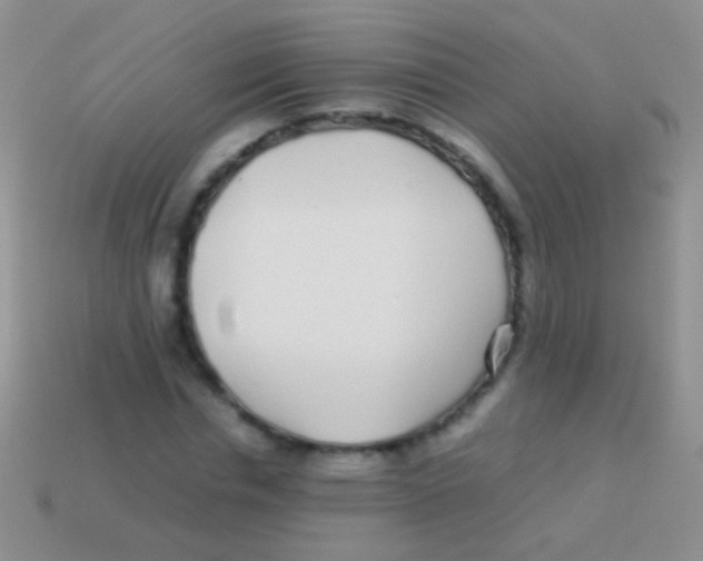 X0000113620826200910161950