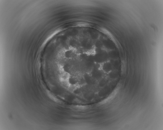 X0000113620827200910161950