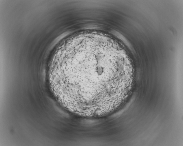 X0000113620829200910161950