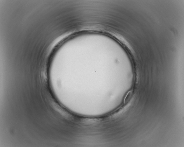 X0000113620830200910161951