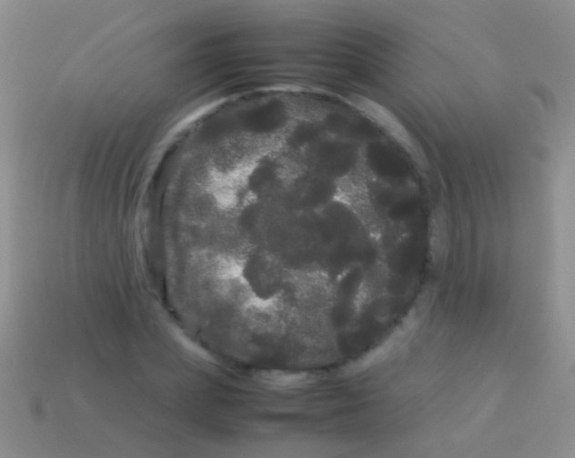 X0000113620831200910161951