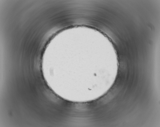 X0000113620832200910161951