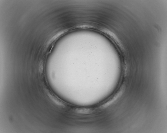 X0000113620833200910161951