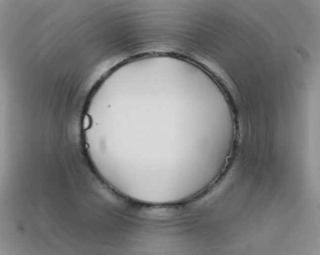 X0000113620834200910161951