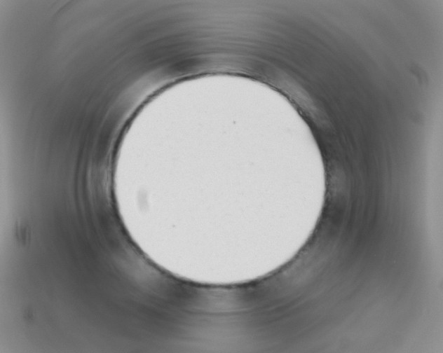 X0000113620836200910161951