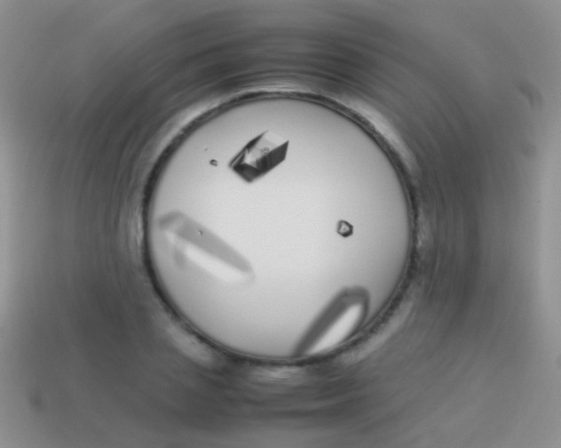 X0000113620837200910161951
