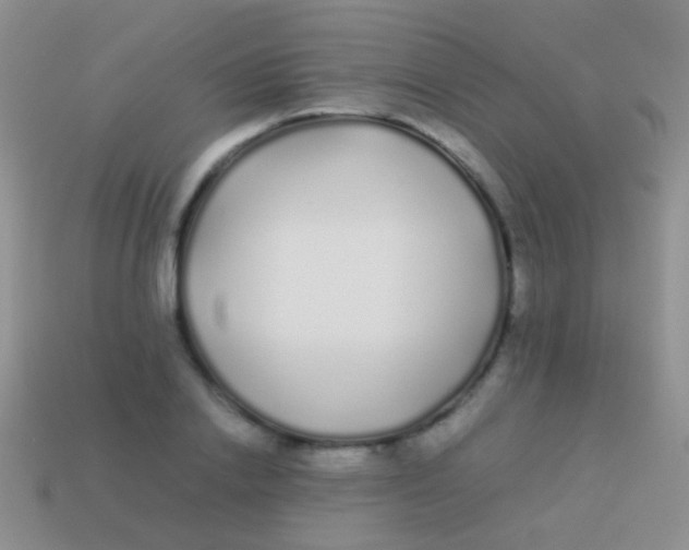 X0000113620838200910161951