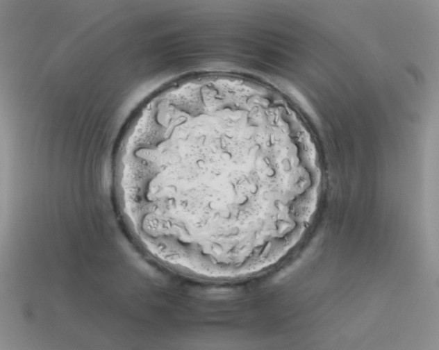 X0000113620839200910161951