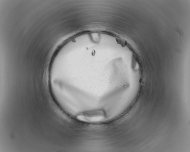 X0000113620840200910161951