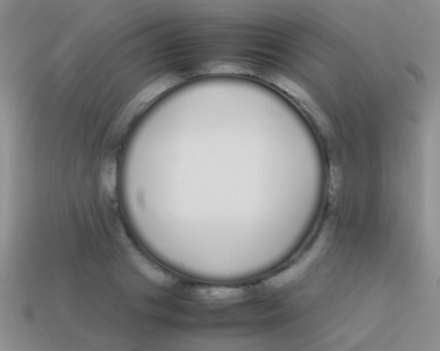 X0000113620841200910161951