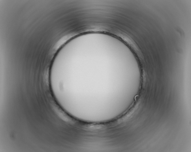 X0000113620842200910161951