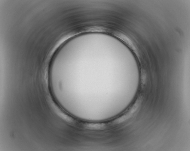 X0000113620843200910161951