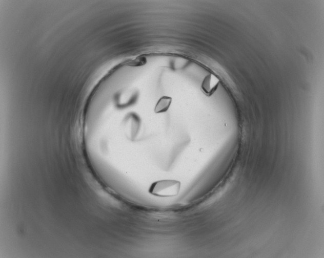 X0000113620844200910161951