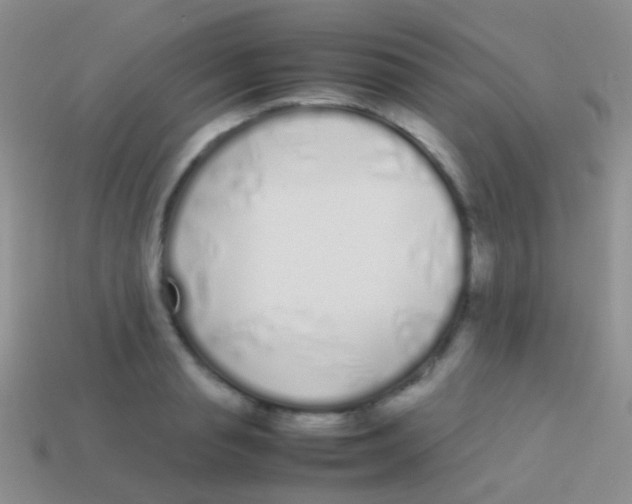 X0000113620845200910161951