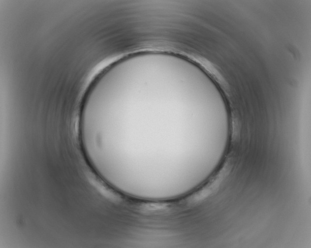 X0000113620846200910161951