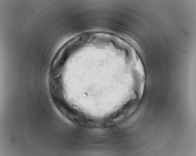 X0000113620847200910161951