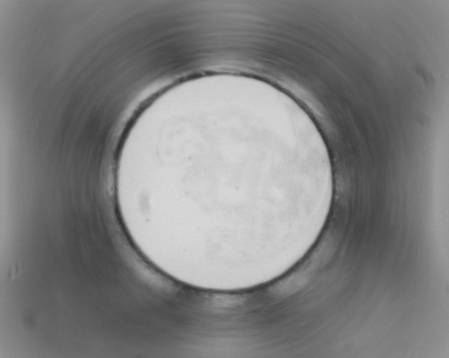 X0000113620848200910161951
