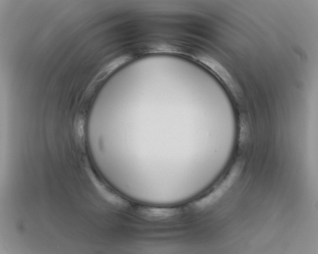 X0000113620849200910161951