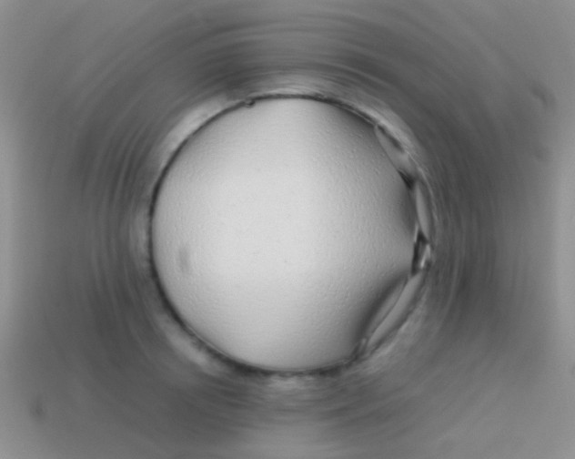 X0000113620850200910161951