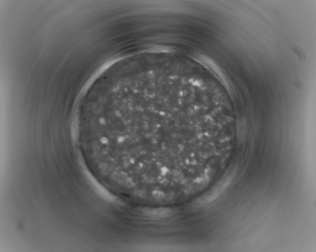 X0000113620851200910161951