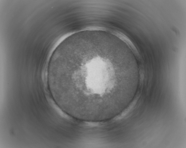 X0000113620852200910161951