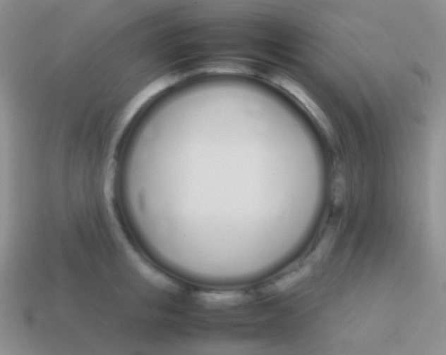 X0000113620853200910161951