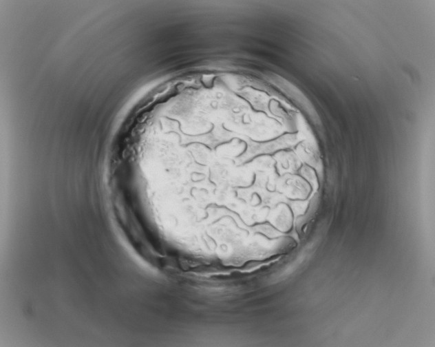 X0000113620855200910161951