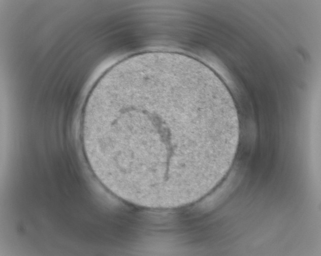 X0000113620856200910161951