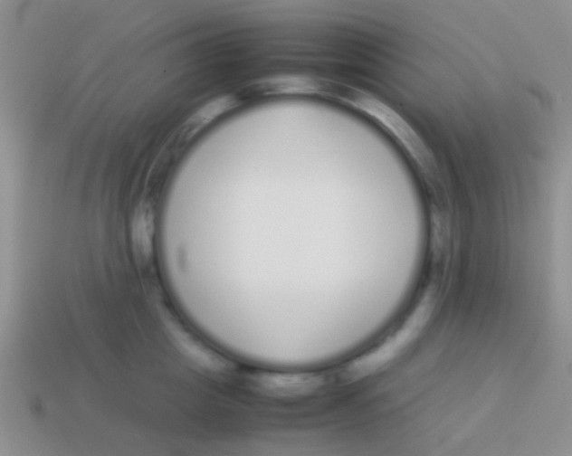 X0000113620857200910161951