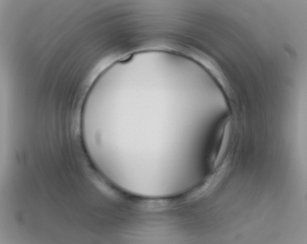 X0000113620858200910161951