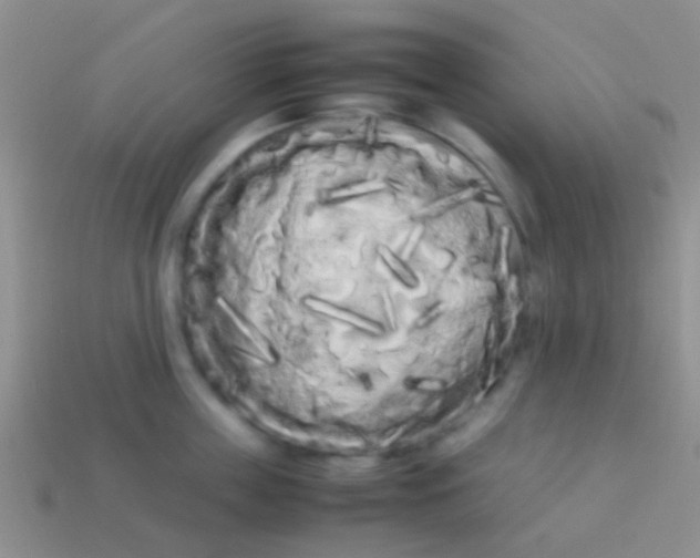 X0000113620859200910161951