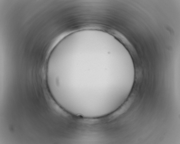 X0000113620860200910161951