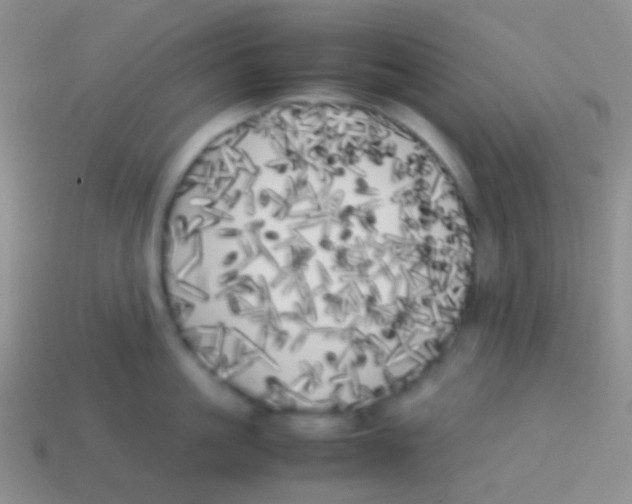 X0000113620861200910161951