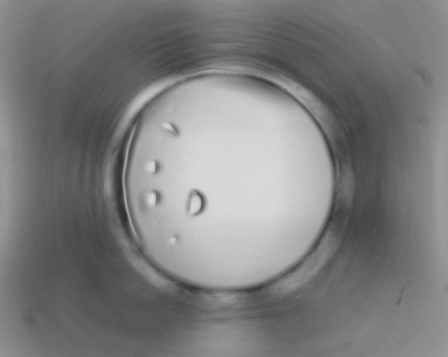 X0000113620862200910161951