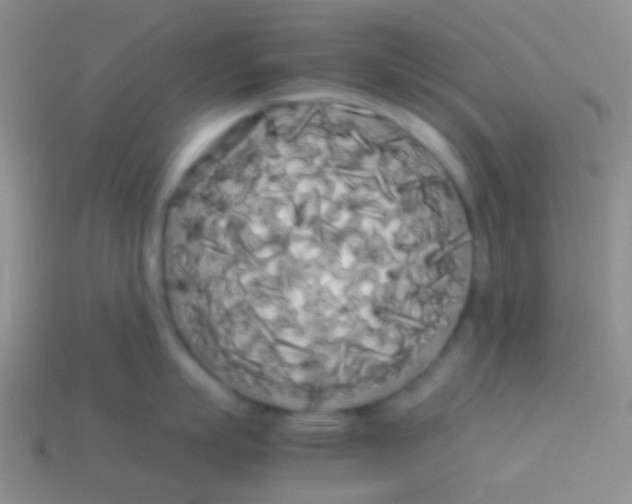 X0000113620863200910161951