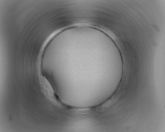 X0000113620864200910161951