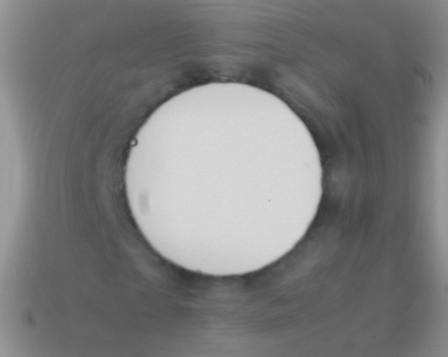 X0000113620865200910161950
