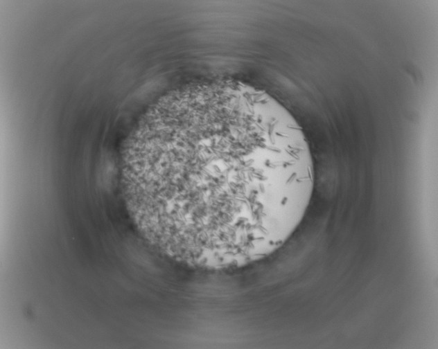 X0000113620866200910161950